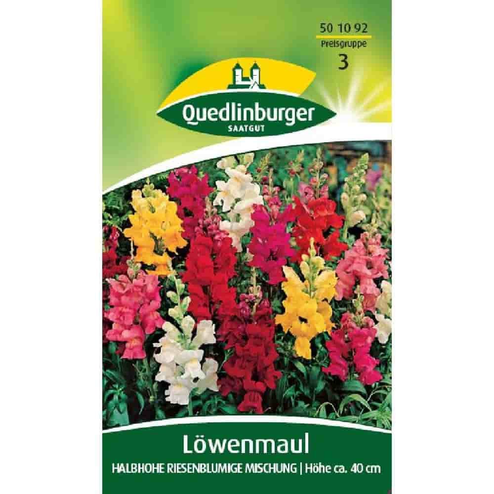 Síolta Snapdragon, Measca Síolta Bláthanna, Síolta Leinbh