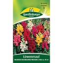 Síolta Snapdragon, Measca Síolta Bláthanna, Síolta Leinbh