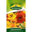 Síolta Nasturtium, Meascán Dreapadóireachta le Bláthanna Inite