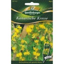 Síolta Plandaí Dreapadóireachta, Cresse Chanárach, Síolta Bláthanna Buí