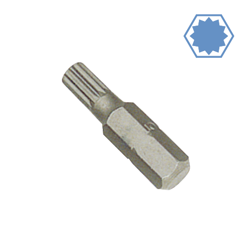 Giotán Spline M5, Cruach S2, Tiománaí 1/4 Orlach