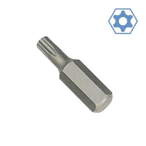 Giotán Torx TT25 le Poll Slándála