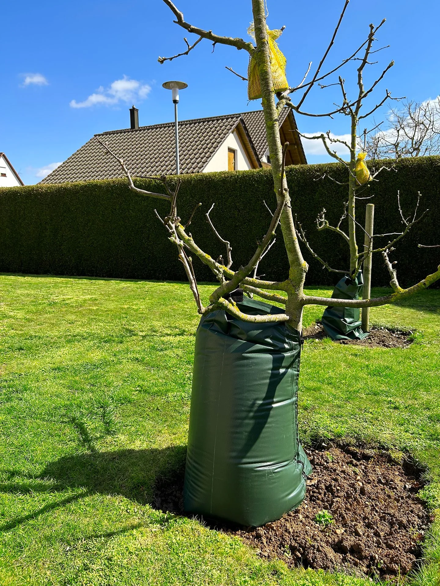 Mála Uisciúcháin Crann Aquadrip® - 77 Lítear