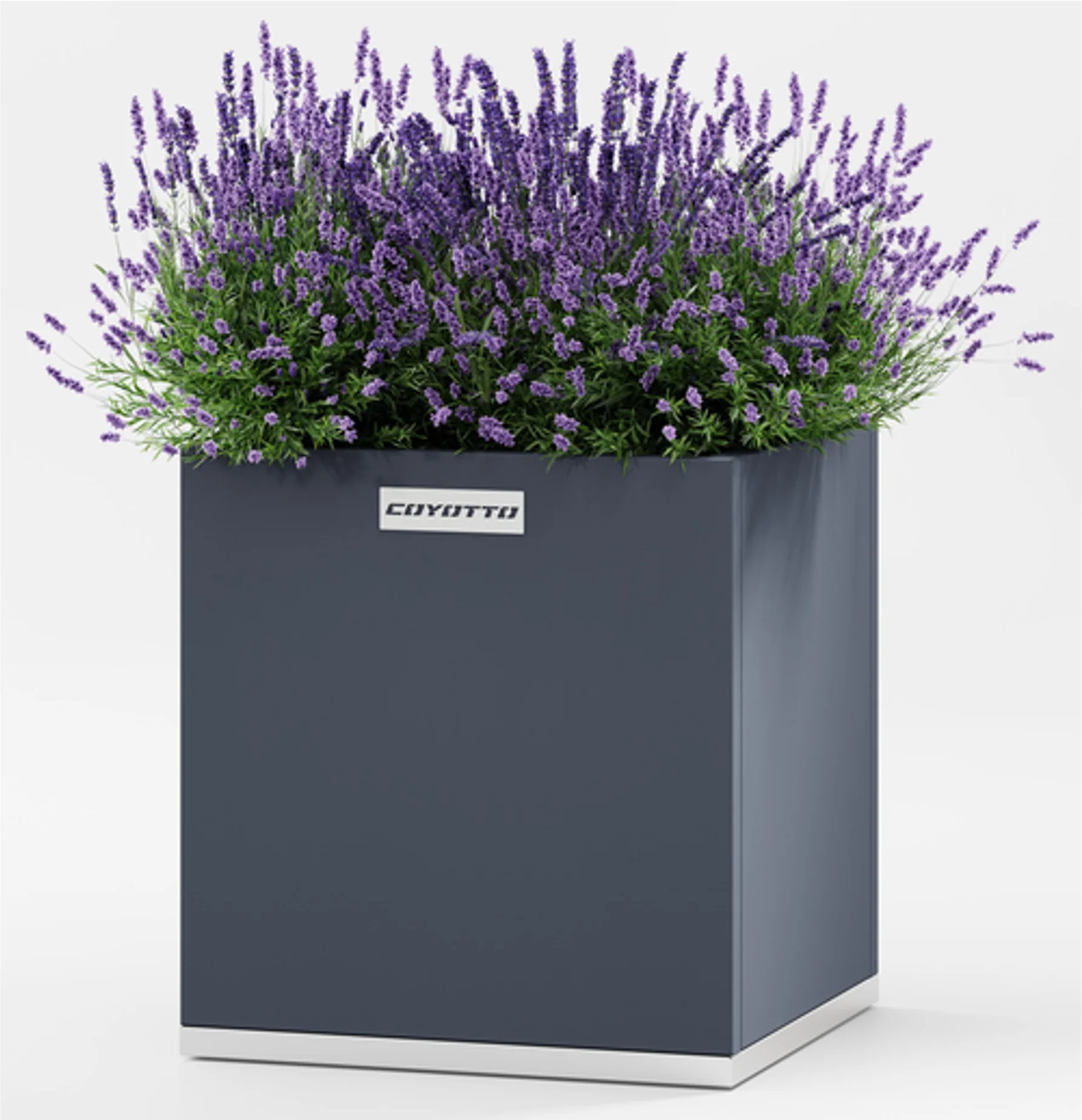 Plandálaí Cearnógach Cruach: Plandálaí Miotail Galvanized & Brataithe Púdar