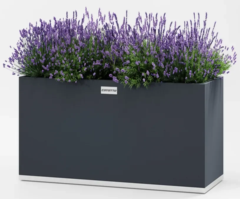 Plandálaí Cruach Dronuilleogach 100x40x50cm: Pota Plandaí Miotail Galbhánaithe