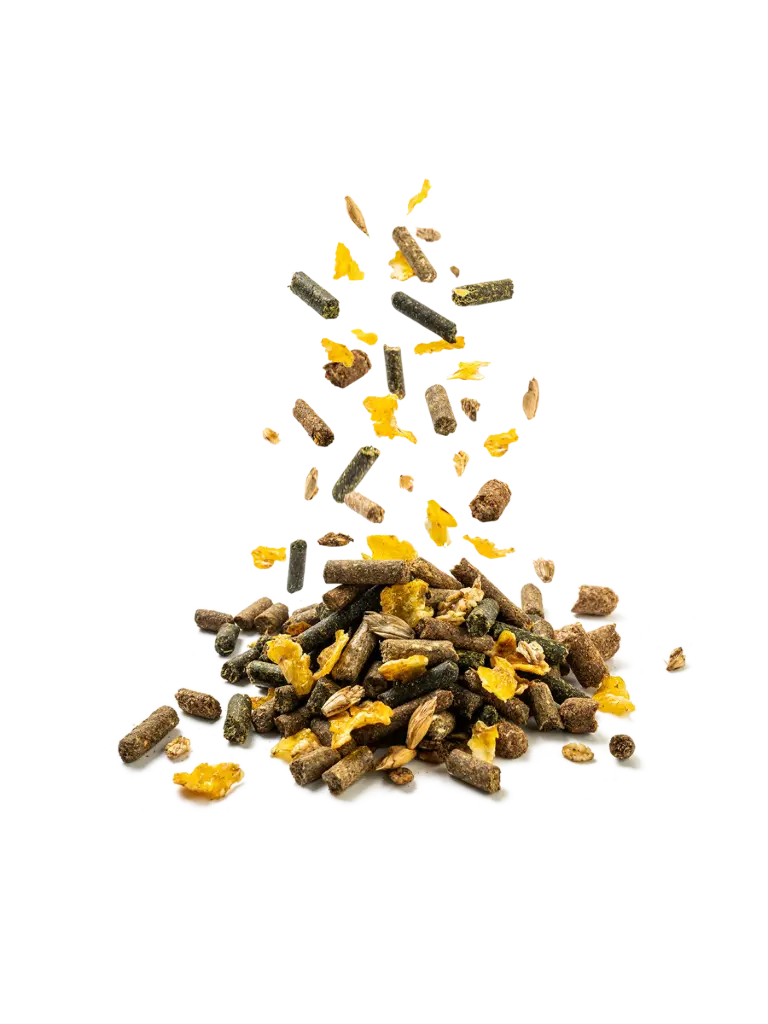 Fothaí capall 20kg, Fothaí láir, beatha capall fuinniúil