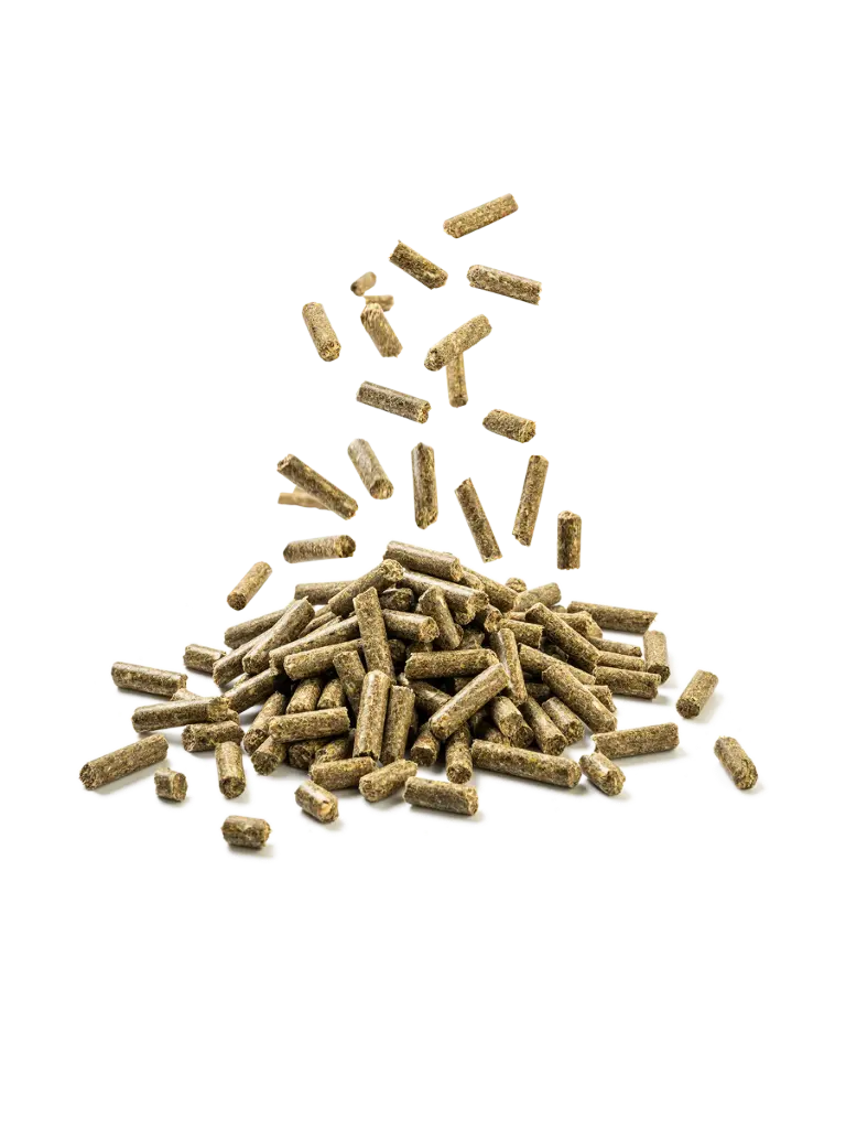 Pellet do Fohlen & Mná an Capall 20kg, Éasca le Díleá