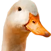 Beatha Gé image