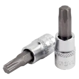 Soicéad Torx image