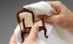 Glantóir Troscáin image