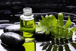 Cúram Craiceann image