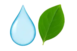 Éicea-cháirdeas Glanadh image