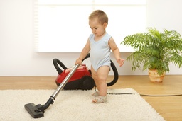 Rug Cleaners Ireland image