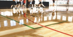 Sportive Böden image