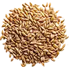 Síolta féir image