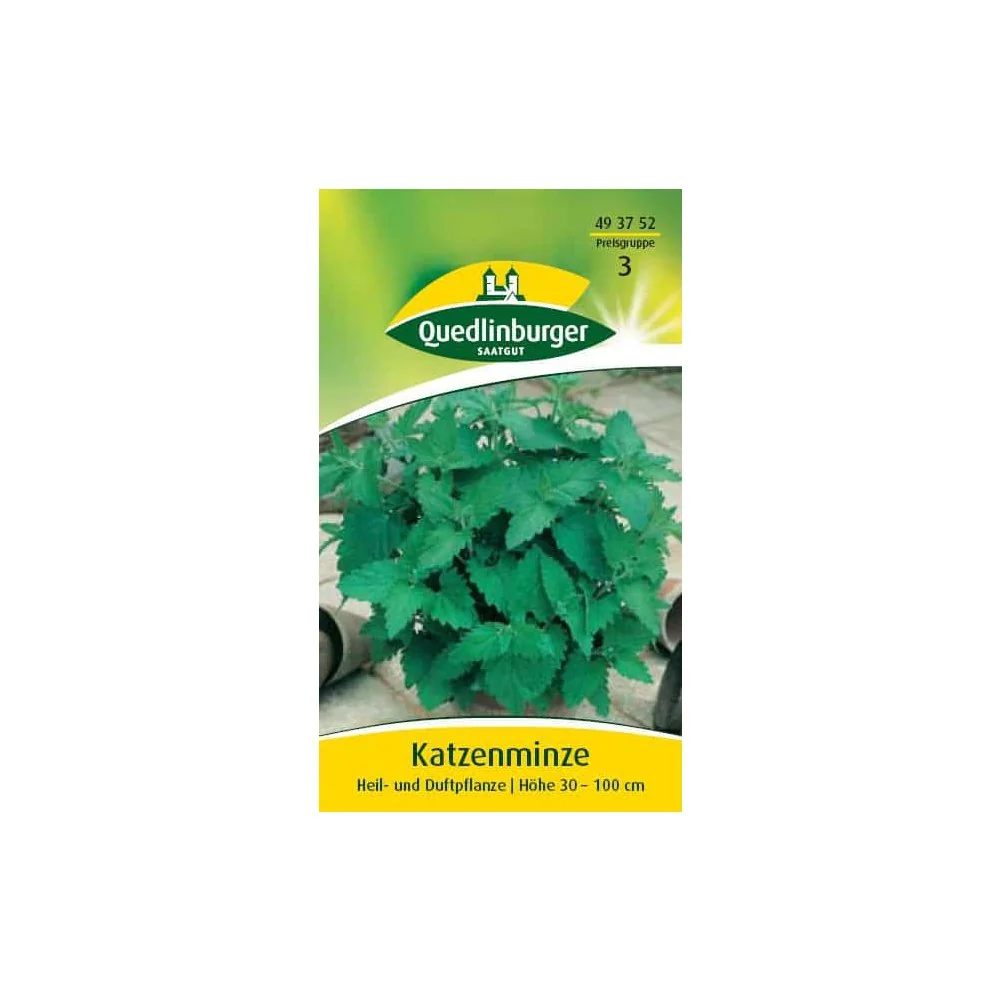 "Planda Catnip Ilbhliantúil, Planda Cumhra agus Leighis image"