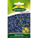 Männertreu Blue, Summer Flower for Balcony & Garden