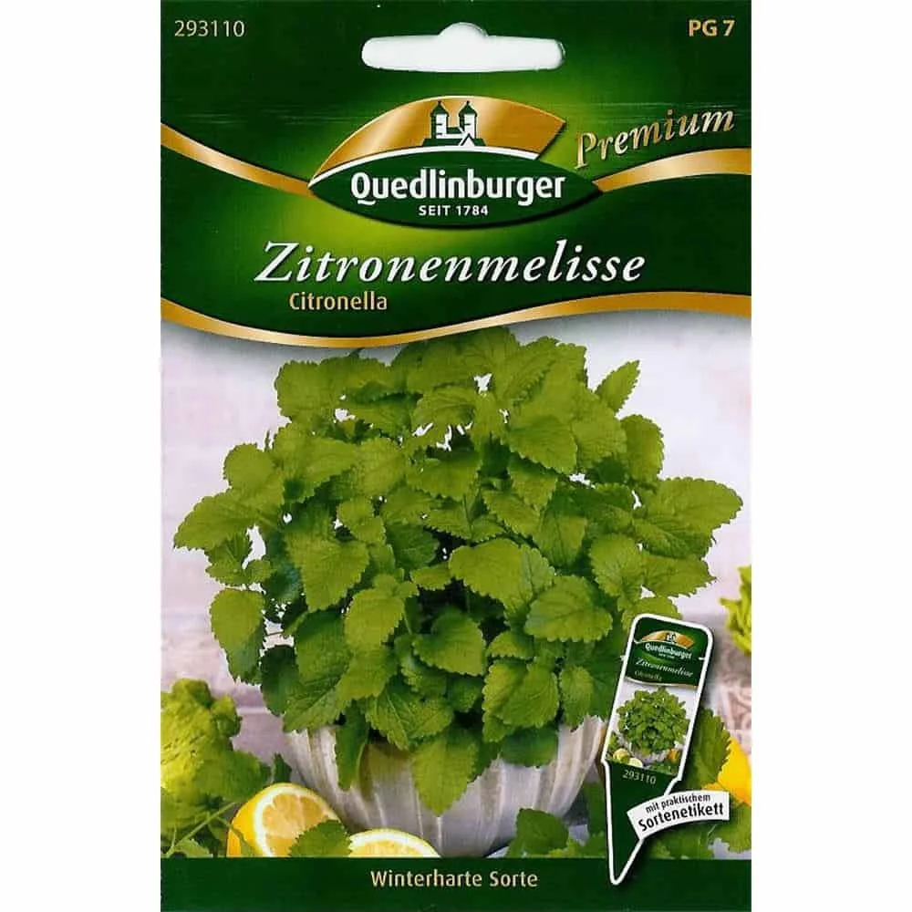 "Lus an chromchinn, Planda Lus an Chromchinn, Luibh ilbhliantúil, Citronella image"