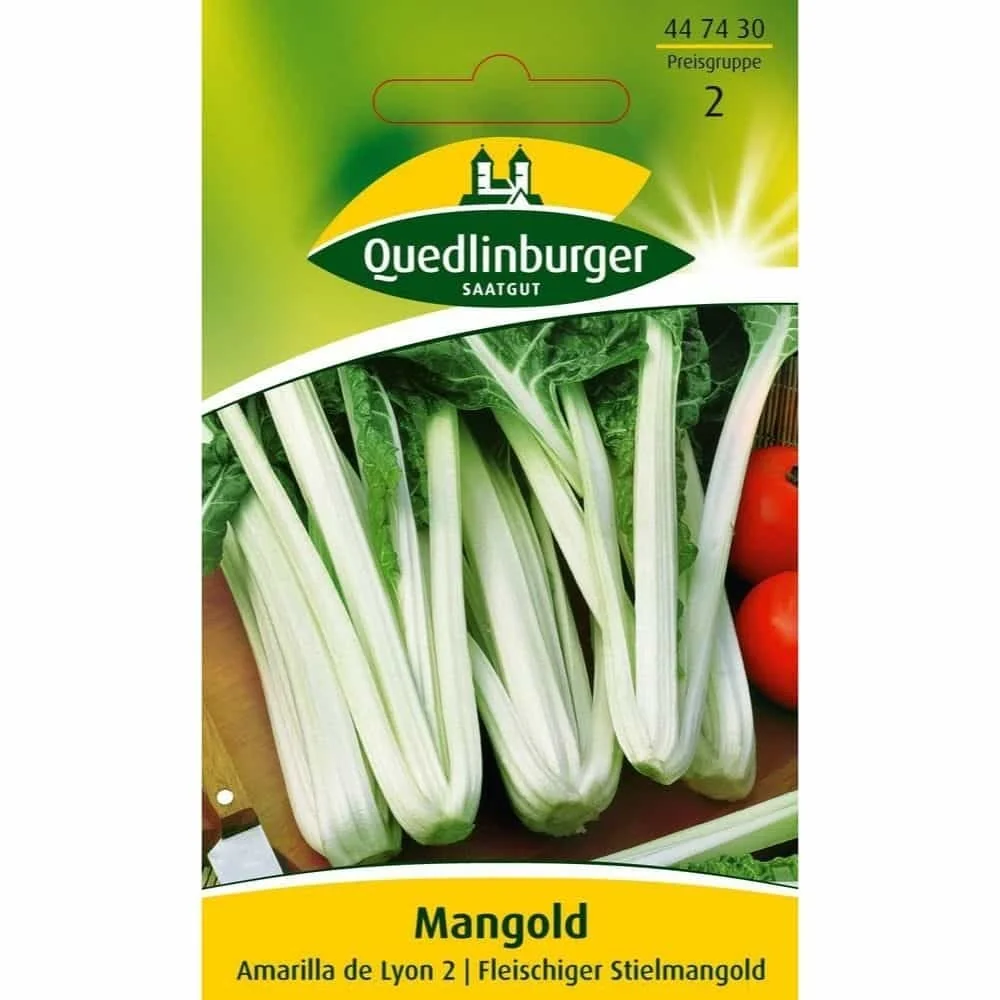 "Mangold, Amarilla de Lyon 2 image"