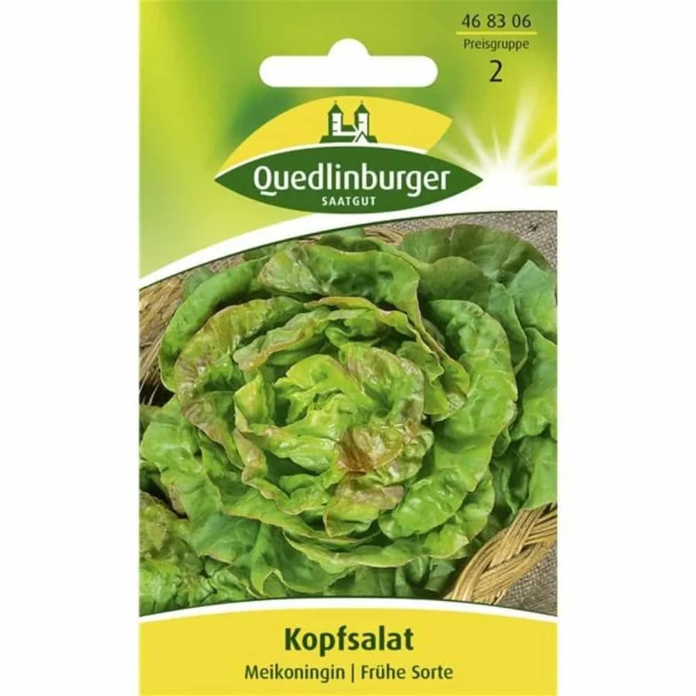 "Cúlsailéad, Maikönig image"