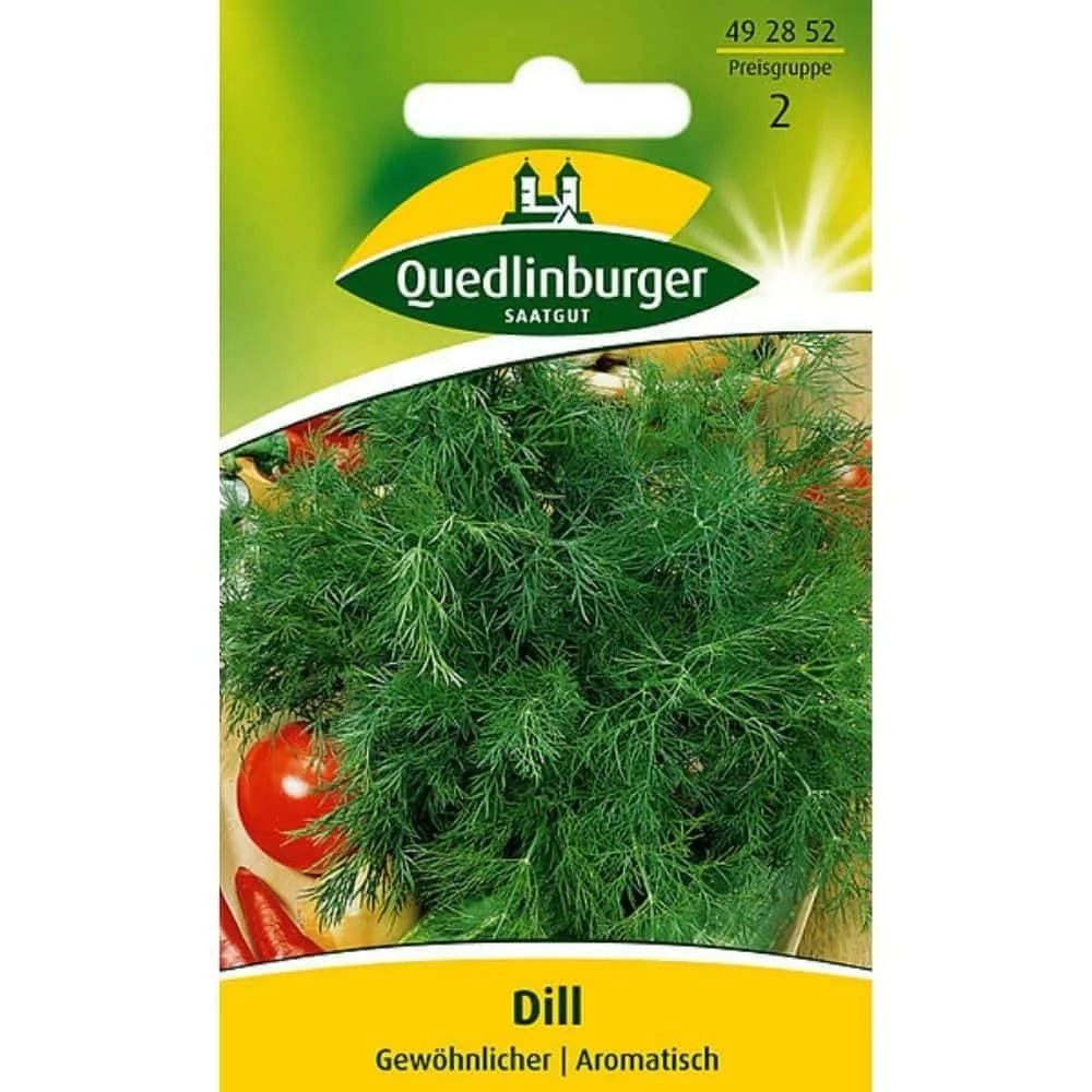 "Dill, Gnáth image"
