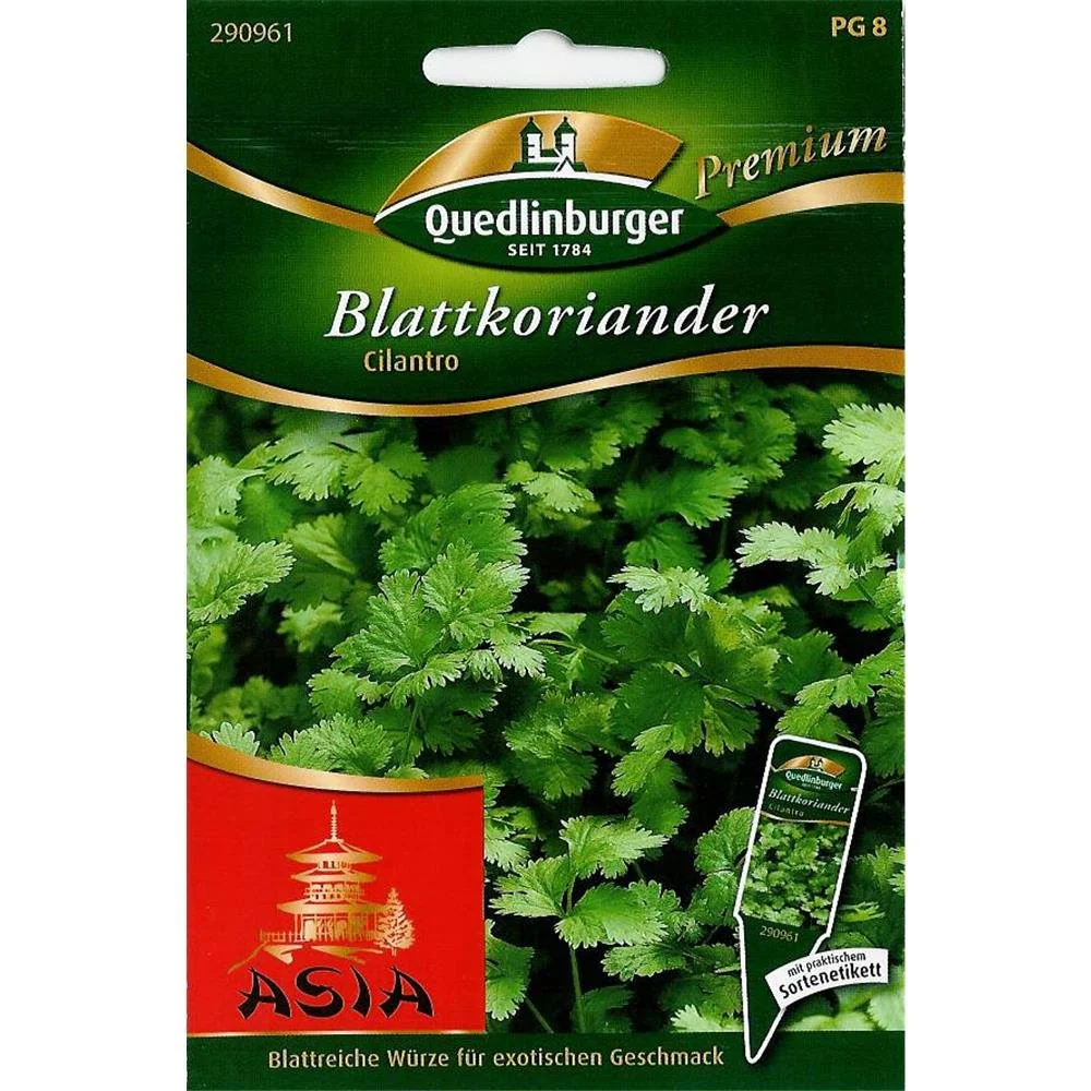 "Cilantro duille,-Duilleoga Coriander image"