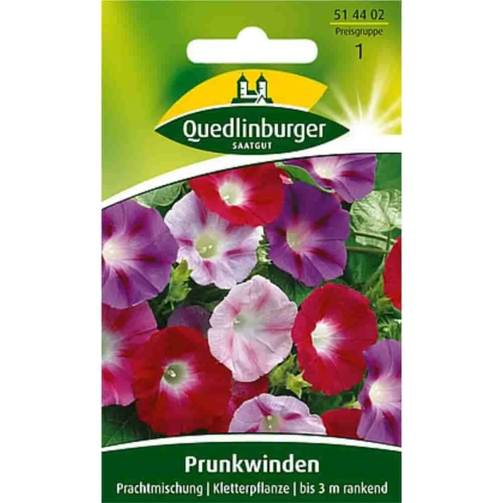 "Síolta Glóire ar Maidin, Fíniúna Glóire ar Maidin a Cheannach image"