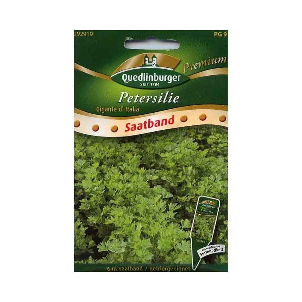 "Banda Síolta Peirsil, Gigante d'Italia image"