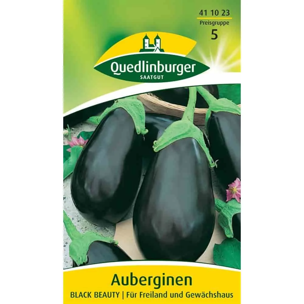 "Síolta Aubergine 'Black Beauty' le haghaidh Gairdín Foirfe image"