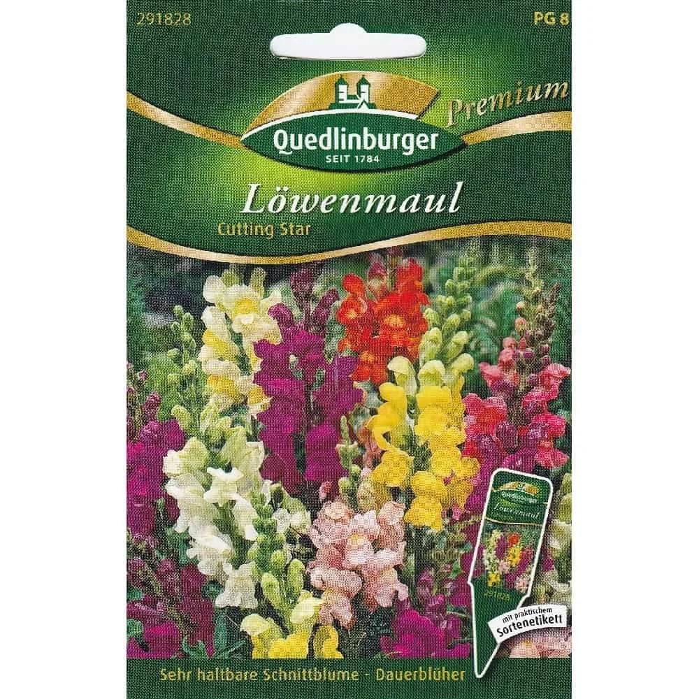 "Síolta Snapdragon 'Cutting Star' le Boni: Síolta Bláthanna Gearrtha image"