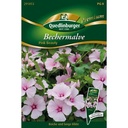 Síolta Malva 'Pink Beauty' - Bláthanna Samhraidh do Ghairdín