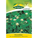 Síolta Clóibh Persia 75g le haghaidh Aoileach Glas agus Feabhsúcháin Ithreach