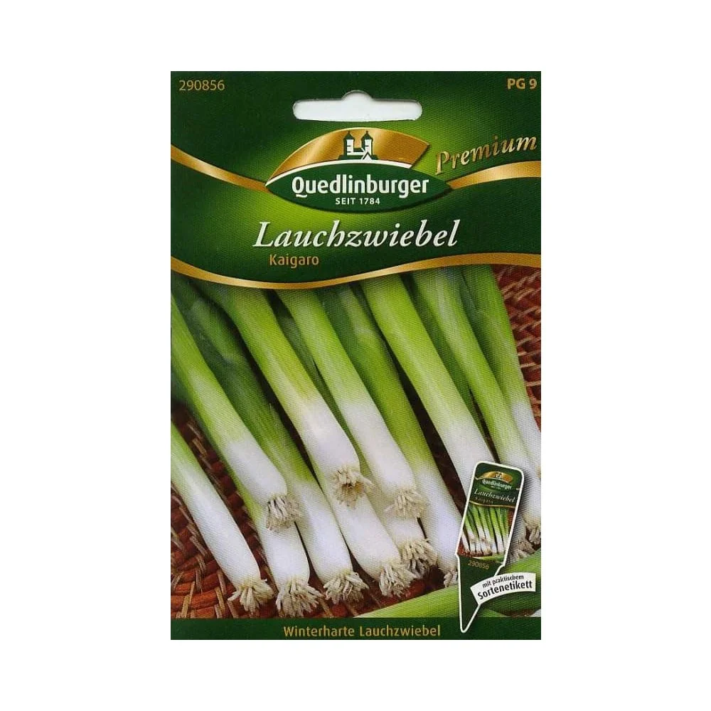 "Síobhais, Oinniún Earraigh, Oinniún na Síne – Plandaí Oinniún image"