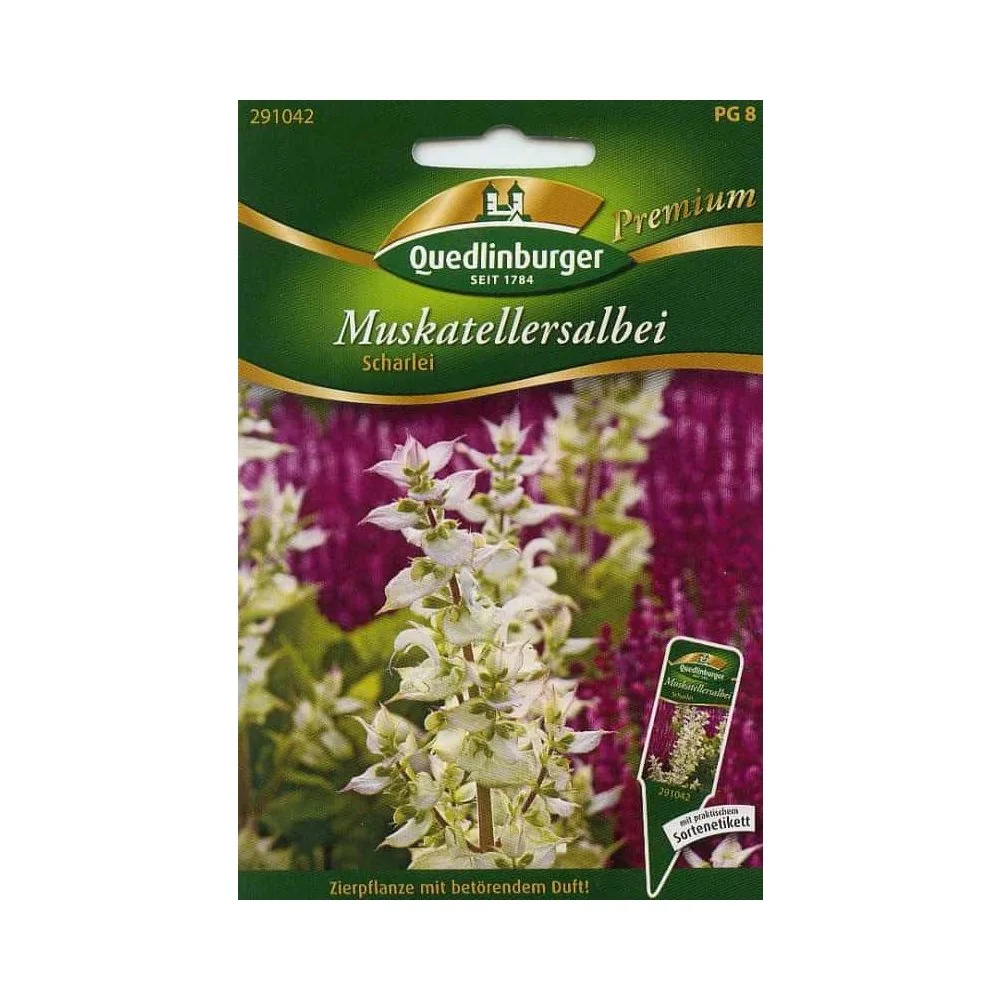 "Ceannaigh Síolta Clary Sage, Planda Clary Sage, Luibhleighis image"