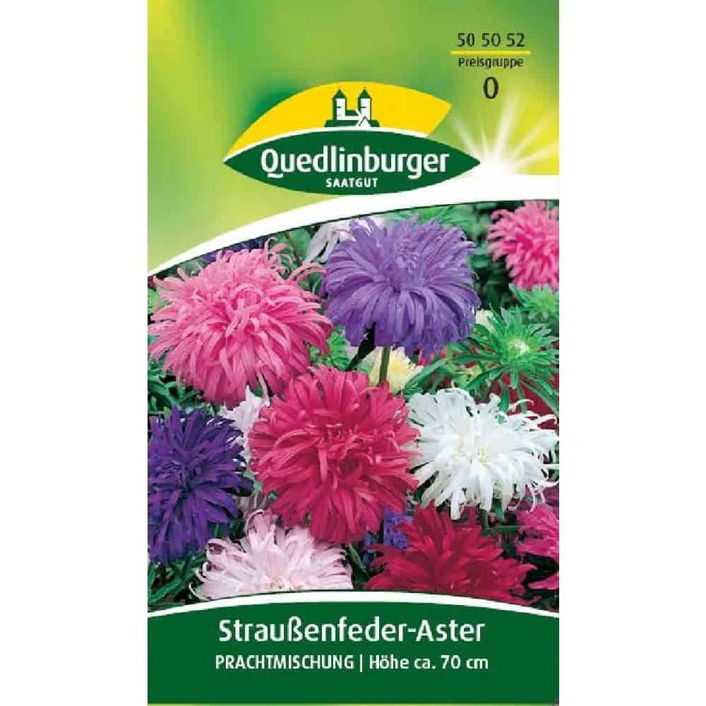 "Síolta Aster Straussenfeder, Meascan Gairdín Bláthanna Bliantúla image"