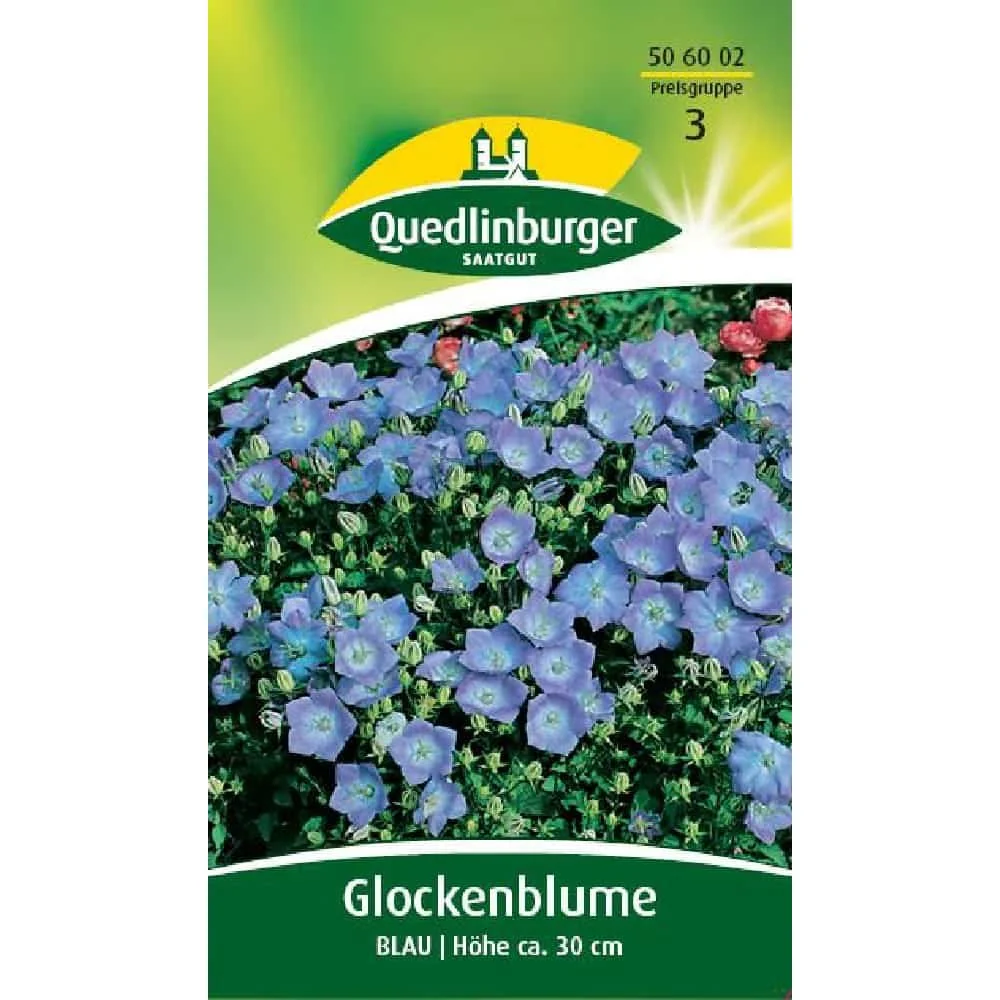"Glochblume Ghairdín, Bláthanna Gorma Campanula image"