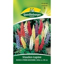 Síolta Lupine a Cheannach, Lupain Ilbhliantúil Russels Hybrid, Boni-Shop
