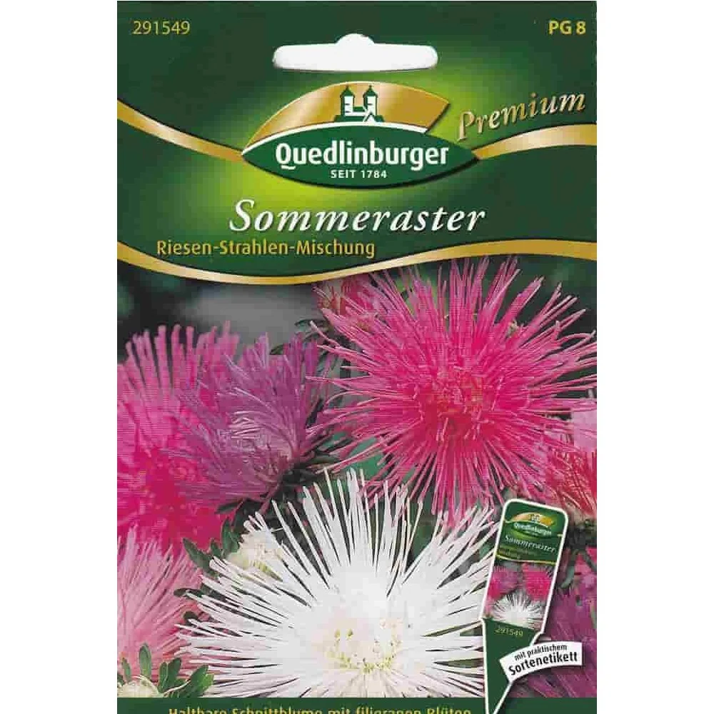 "Síolta Aster Samhraidh, Riesen Strahlen Mischung, Síolta Bláthanna Gearrtha image"