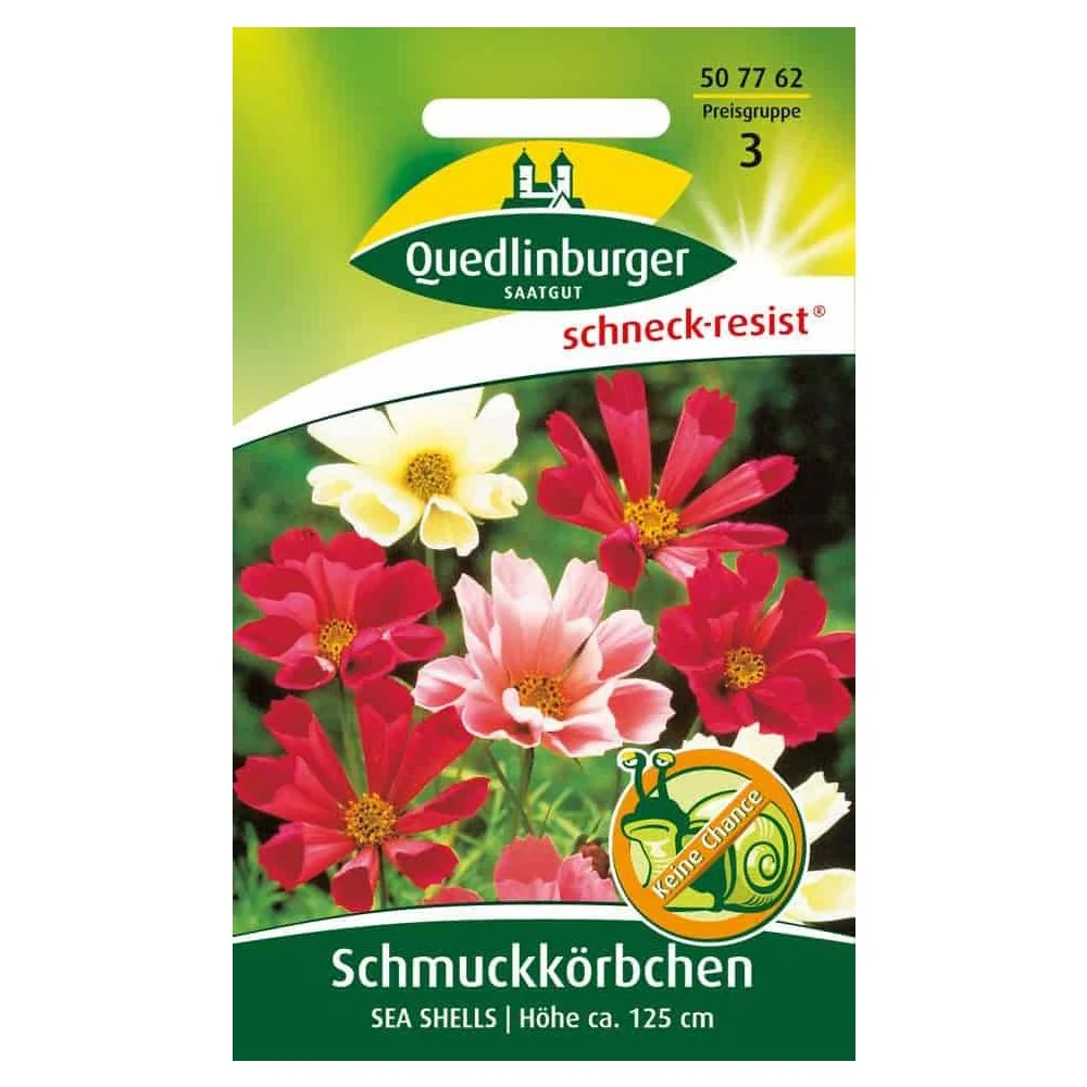 "Bláthanna Bairille, Shells na Farraige image"