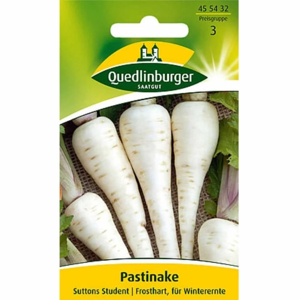 "Síolta Pastarnach 'Suttens Student' - Do Ghairdín Geimhridh image"