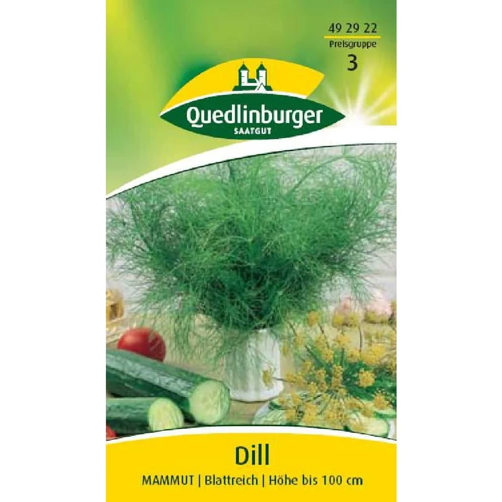 "Síolta Dill a Cheannach, Planda Dill a Fhás, Dill Úr - Boni-Shop image"