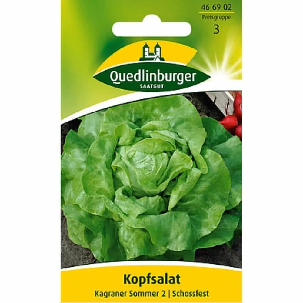 "Síolta Leitís 'Kagraner Sommer' Luath image"