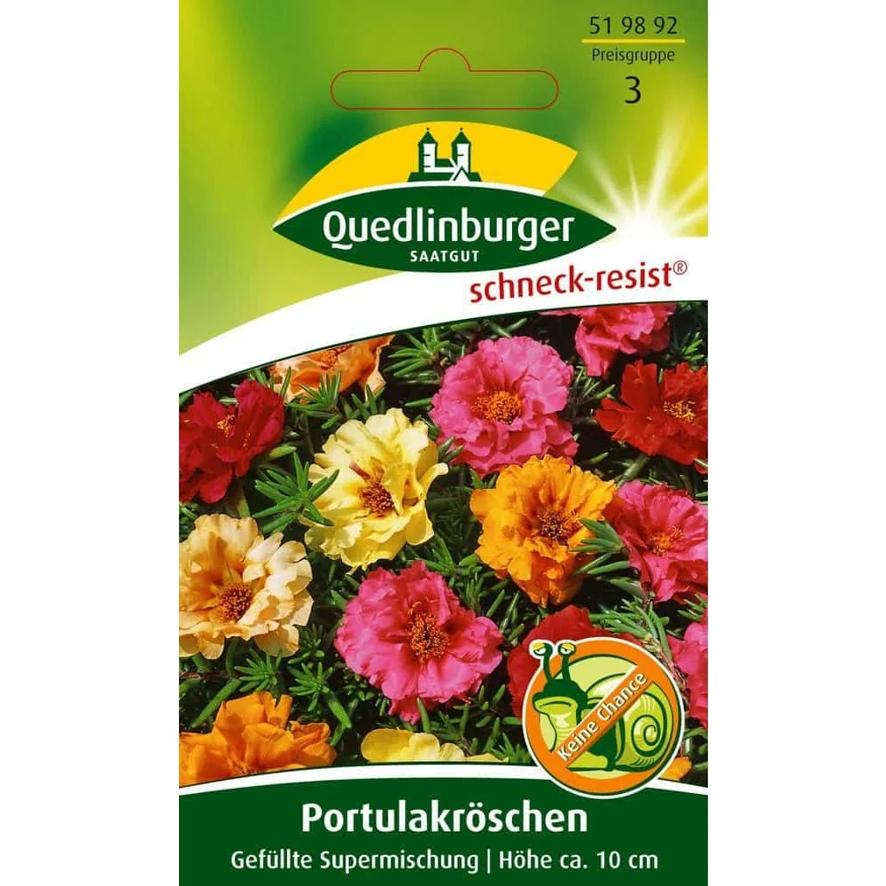 "Rósanna Purslane, Supermheascán Lán image"