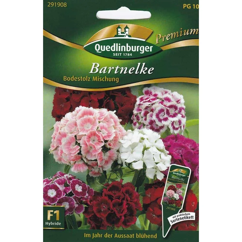 "Síolta Bartnelken Bodestolz F1 | Síolta Bláthanna Gairdín ón Boni-Shop image"