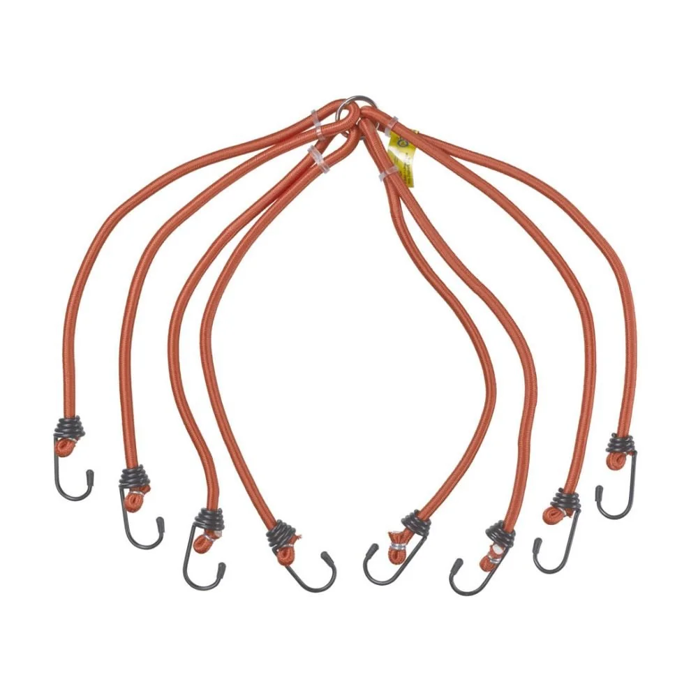 "Spíonóg Bagáiste 8 lámhach image"