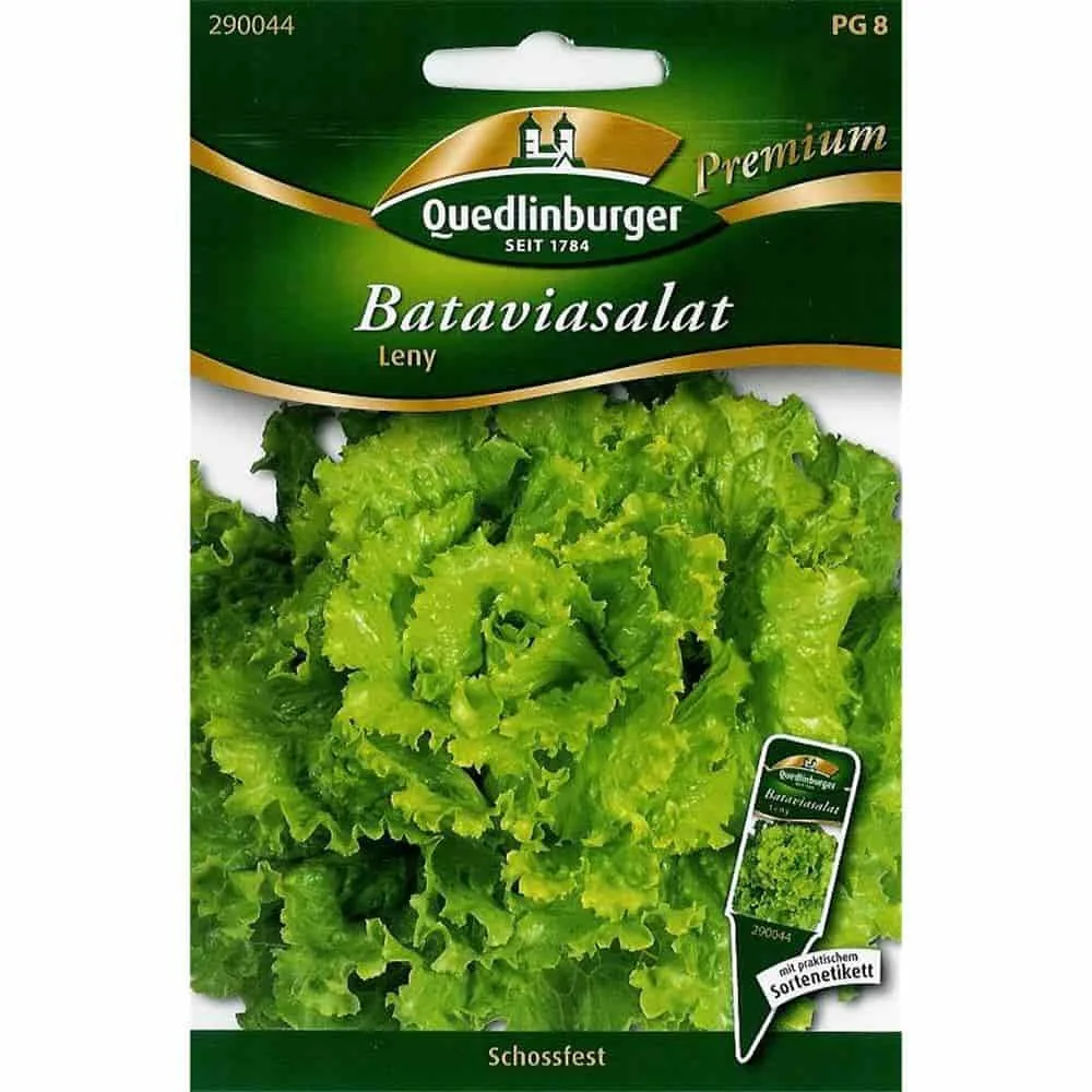 "Síolta Leitís Batavia Leny le haghaidh Gairdín Sláintiúil image"