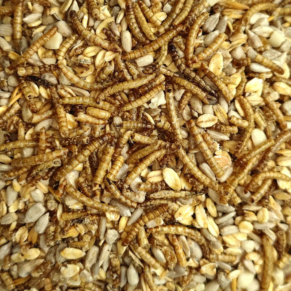 "Bia d’éin fhíáin 20kg Deluxe gan sliogán le míolta plátaí image"