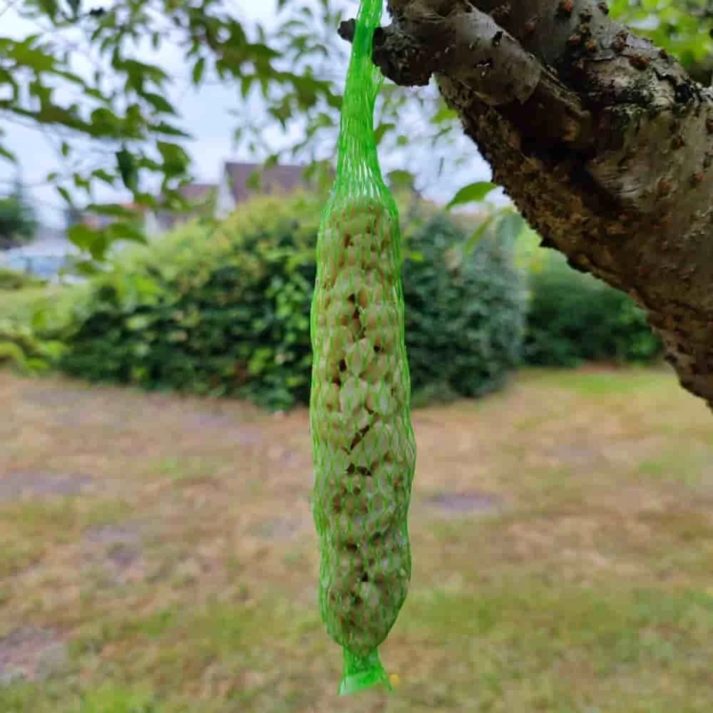 "Bataí Cnónna Súdar (0.18kg) - 2 Bheathú Éan Fiáin image"