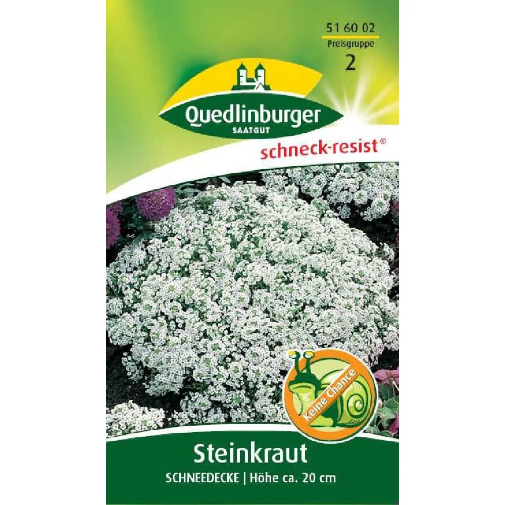 "Síolta Steinkraut, Clúdach Sneachta image"