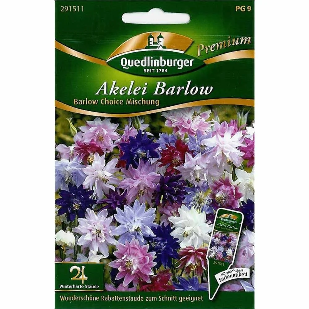 "Acailí, Barlow Choice Meascán image"